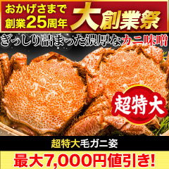 【大創業祭】超特大毛ガニ姿 総重量:約1.2kg(1尾正味1kg)/ 総重量:約2.4kg(2尾正味2kg)
