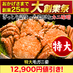 【大創業祭】特大毛ガニ姿 総重量:約2.4kg(3尾正味2kg)