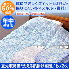 夏先取特価「洗えるダウン肌掛け布団」(シングル)1枚/2枚