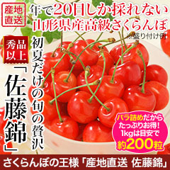 さくらんぼの王様「山形県産 佐藤錦」 500g/1kg