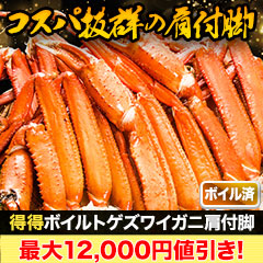 【カニ値引き】得得ボイルトゲズワイガニ肩付脚 総重量:約2.4kg(正味2kg)/総重量:約4.8kg(正味4kg)