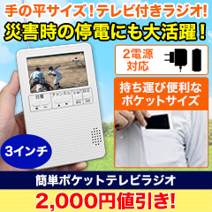 【ラジオ売れ筋値引き】簡単ポケットテレビラジオ+電池4本