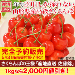 さくらんぼの王様「山形県産 佐藤錦」 500g/1kg