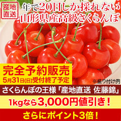 さくらんぼの王様「山形県産 佐藤錦」 500g/1kg