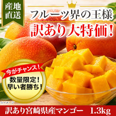 訳あり宮崎県産マンゴー 1.3kg