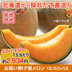 お買い得！夕張メロン 1玉/3(2+1)玉