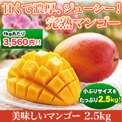 美味しいマンゴー 2.5kg