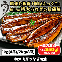 特大肉厚うなぎ蒲焼 1kg(4尾)/2kg(8尾)