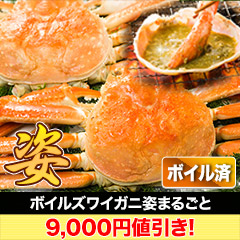 【カニ値引き】ボイルズワイガニ姿まるごと 総重量:約2.4kg