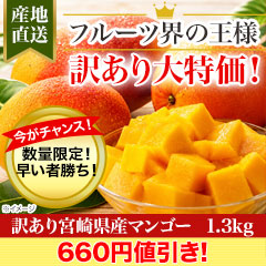 【新聞売れ筋値引き】訳あり宮崎県産マンゴー 1.3kg