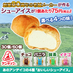あのアンデイコの4種「おいしいシューアイス」 30個/60個