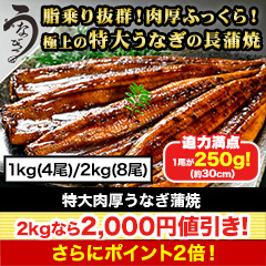 【セール限定価格】特大肉厚うなぎ蒲焼 1kg(4尾)/2kg(8尾)