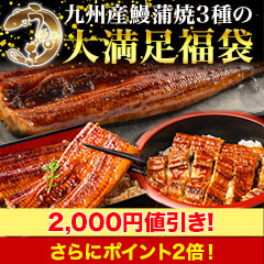 【セール限定価格】九州産鰻福袋3種セット