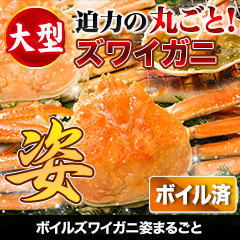 大型ボイルズワイガニ姿まるごと 総重量:約3.6kg(6尾 正味3kg)