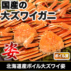 北海道産ボイルオオズワイガニ姿 総重量:約2.3kg(5～6尾 正味2kg)/総重量:約4.6kg(9～12尾 正味4kg)