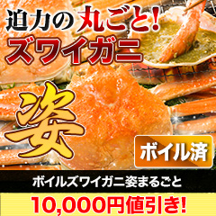 【カニ値引き】ボイルズワイガニ姿まるごと 総重量:約2.4kg(5尾 正味2kg)