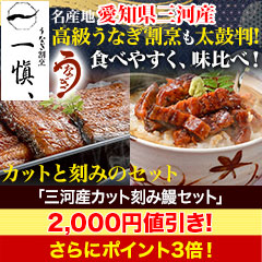 【値引き】有名高級割烹太鼓判「三河産ｶｯﾄ刻み鰻ｾｯﾄ」