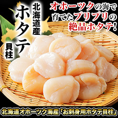 北海道オホーツク海産「お刺身用ホタテ貝柱」500g/1kg
