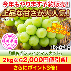 【値引き】福岡八女産「朝もぎシャインマスカット」