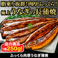 ふっくら肉厚うなぎ蒲焼 1kg(4尾)/2kg(8尾)