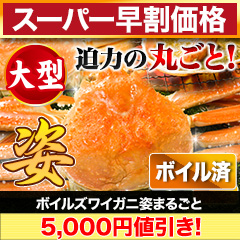 【スーパー早割価格】大型ボイルズワイガニ姿まるごと 総重量:約3.6kg(6尾 正味3kg)