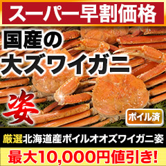 【スーパー早割価格】北海道産ボイルオオズワイガニ姿 総重量:約2.3kg(5～6尾 正味2kg)/総重量:約4.6kg(9～12尾 正味4kg)
