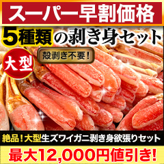 【スーパー早割価格】絶品！大型生ズワイガニ剥き身欲張りセット 総重量:約1.6kg(正味1.2kg)/総重量:約3.2kg(正味2.4kg)総重量:約4.8kg(正味3.6kg)