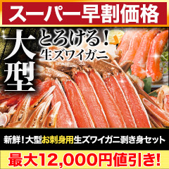 【スーパー早割価格】新鮮！大型お刺身用生ズワイガニ剥き身セット 総重量:約1.5kg(正味1.2kg)/総重量:約3kg(正味2.4kg)/総重量:約4.5kg(正味3.6kg)