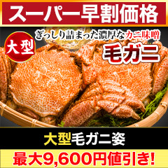 【スーパー早割価格】大型毛ガニ姿 総重量:約1.2kg(2尾 正味1kg)/総重量:約2.4kg(4尾 正味2kg)