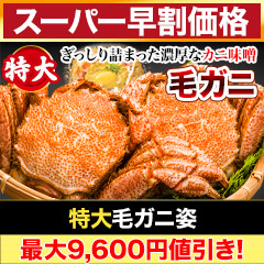 【スーパー早割価格】特大毛ガニ姿 総重量:約2.4kg(3尾正味2kg)