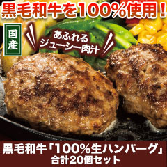 黒毛和牛「100％生ハンバーグ」合計20個セット