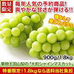 【特番限定価格】果物王国山梨の「大粒シャインマスカット」 900g/1.8kg