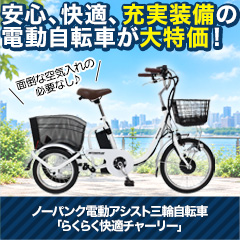 ノーパンク電動アシスト三輪自転車「らくらく快適チャーリー」本体