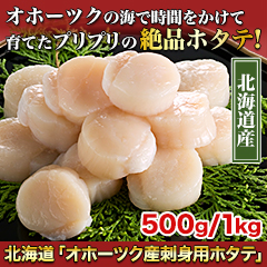 北海道「オホーツク産刺身用ホタテ」 500g/1kg