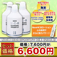 【未開封】NEW H-C-B ローション　育毛剤　120ml　S843 ヘアケア コスメ・美容