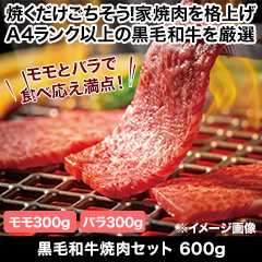 ★半額キャンペーン★【豪華ごちそう定期便月々7,980円コース】黒毛和牛焼肉セット600g