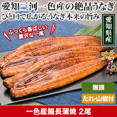 ★半額キャンペーン★【豪華ごちそう定期便月々7,980円コース】一色産鰻長蒲焼 2尾