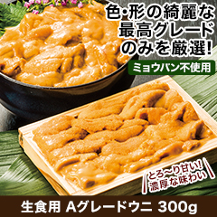 ★半額キャンペーン★【豪華ごちそう定期便月々9,980円コース】生食用Aグレードウニ 300g