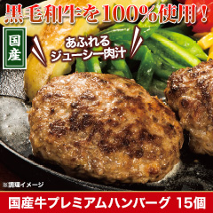 ★半額キャンペーン★【豪華ごちそう定期便月々7,980円コース】国産牛プレミアムハンバーグ15個