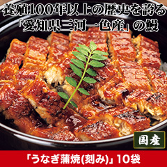 ★半額キャンペーン★【豪華ごちそう定期便月々9,980円コース】愛知県一色産「うなぎ蒲焼(刻み)」10袋
