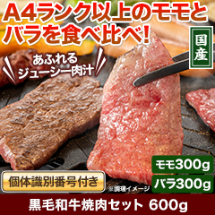 ★半額キャンペーン★【豪華ごちそう定期便月々7,980円コース】黒毛和牛焼肉セット 600g