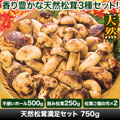 ★半額キャンペーン★【豪華ごちそう定期便月々9,980円コース】天然松茸満足セット 750g
