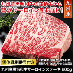 ★半額キャンペーン★【豪華ごちそう定期便月々9,980円コース】九州産黒毛和牛サーロインステーキ 600g