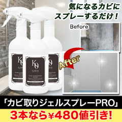 【ラジオ売れ筋値引き】「カビ取りジェルスプレーPRO」1本/2+1本
