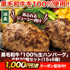 【クーポン使用でお得】黒毛和牛「100％生ハンバーグ」合計20個セット
