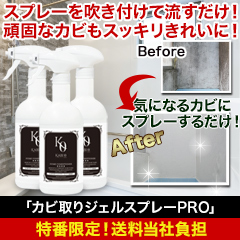 【CBC特番・送料当社負担】10年来のガンコなカビもスッキリ！「カビ取りジェルスプレーPRO」　1本/3(2+1本)本