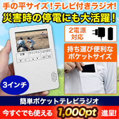 簡単ポケットテレビラジオ+電池4本