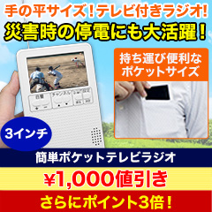 【ラジオ売れ筋値引き】簡単ポケットテレビラジオ+電池4本