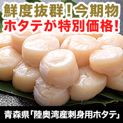 ߤ̣ФޤĤĿΦѻɿѥۥơ500g/1kg