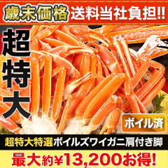 ں+ôĶܥ륺磻˸դ